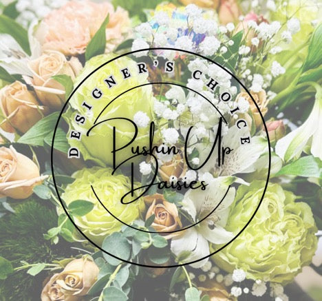 Designer's Choice