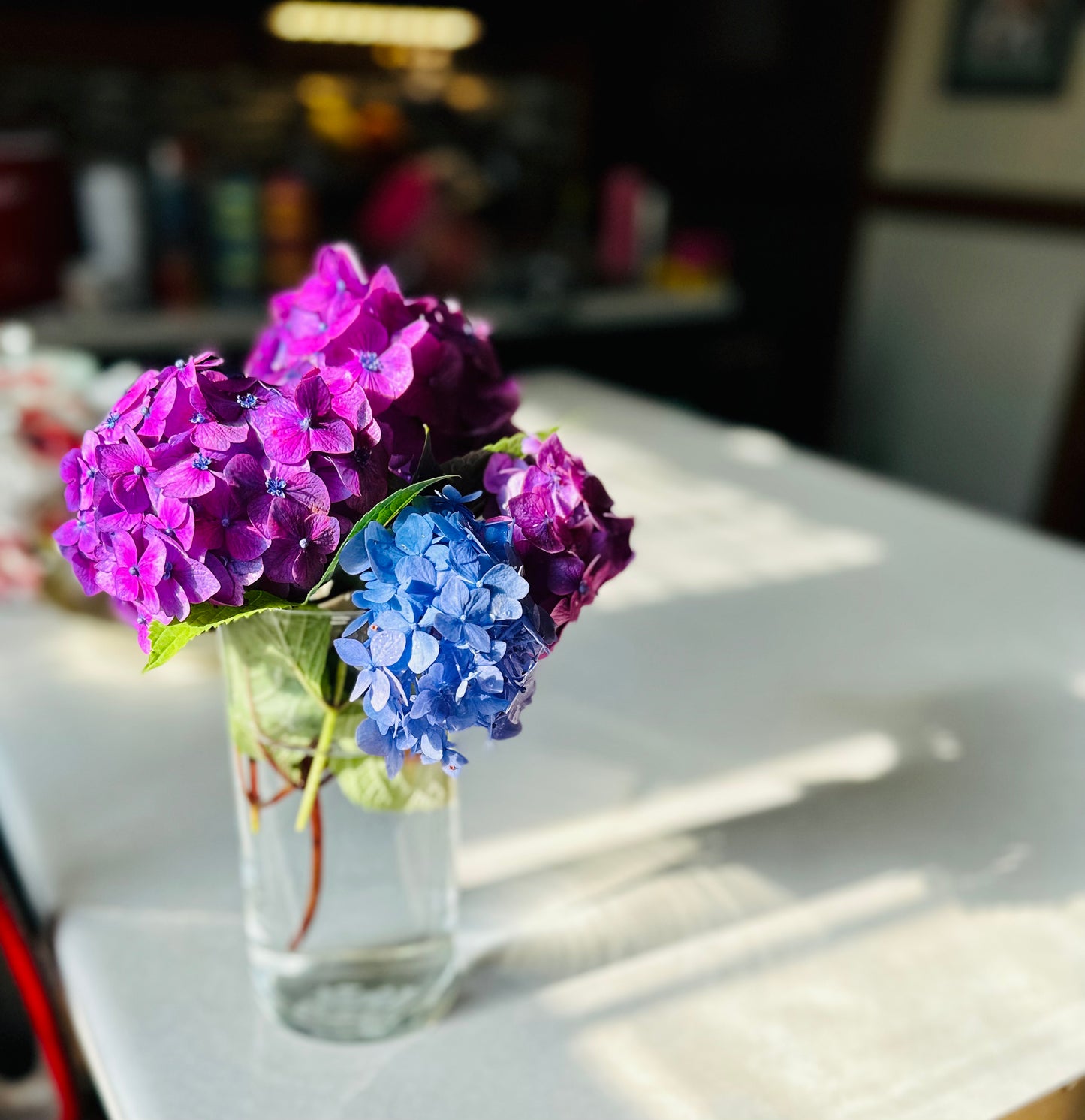 Hydrangea- Simple Vase