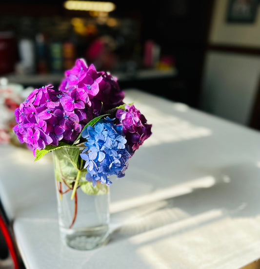 Hydrangea- Simple Vase